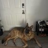 bella02260505